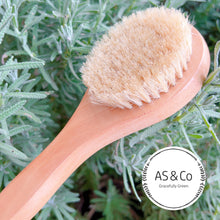 Load image into Gallery viewer, Wooden Body Brush for Dry-brushing 26x8cm Natural
