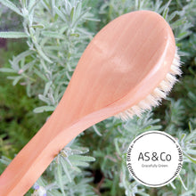 Load image into Gallery viewer, Wooden Body Brush for Dry-brushing 26x8cm Natural