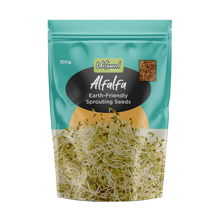 Load image into Gallery viewer, Alfalfa Sprouting Seeds - 100g