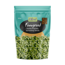 Load image into Gallery viewer, Fenugreek Sprouting Seeds - 100g
