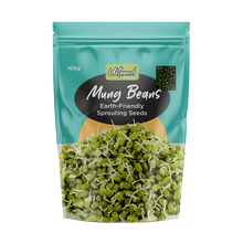 Load image into Gallery viewer, Mung Beans Sprouting Seeds - 100g