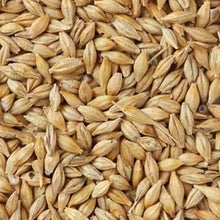 Load image into Gallery viewer, Barley Sprouting Seeds - 100g