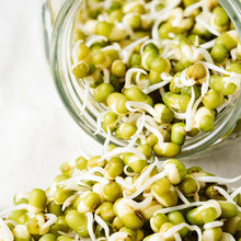 Load image into Gallery viewer, Mung Beans Sprouting Seeds - 100g