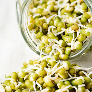 Mung Beans Sprouting Seeds - 100g