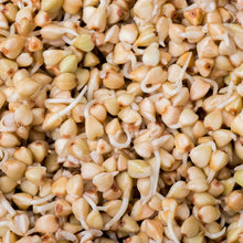 Load image into Gallery viewer, Buckwheat Sprouting Kernels - 100g