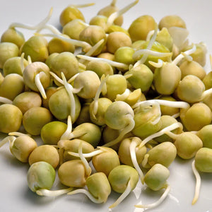 Peas (Blue) Sprouting Seeds - 100g